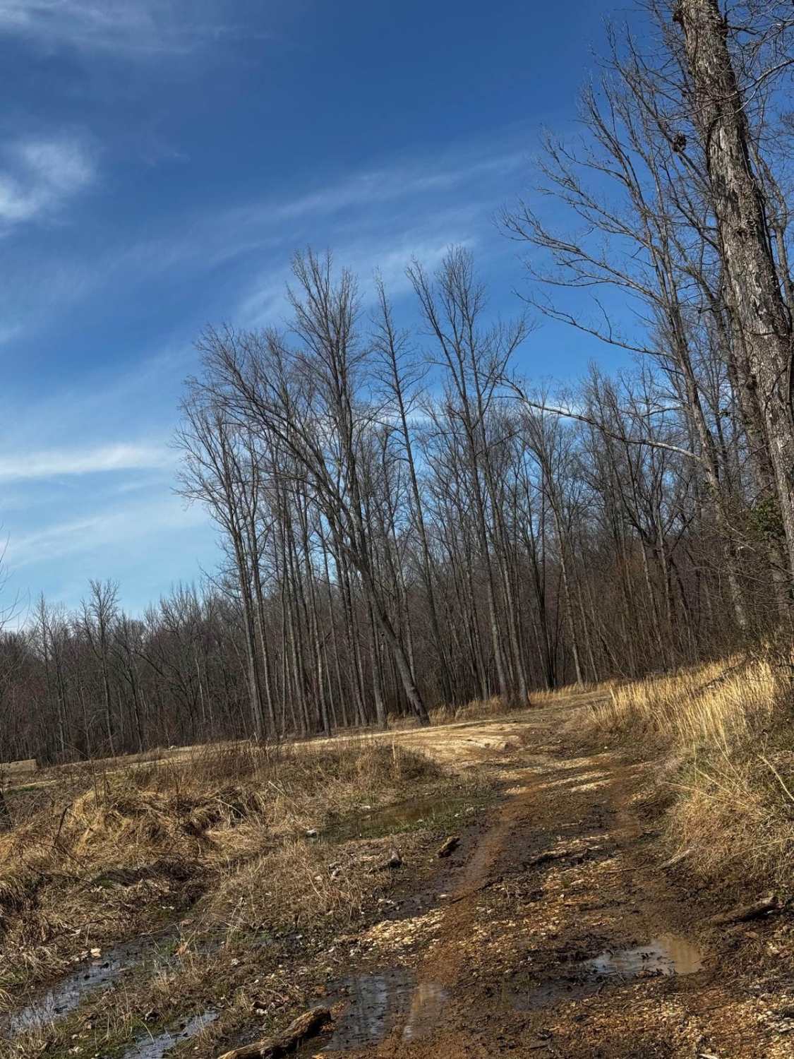 Hillside Climb Access
