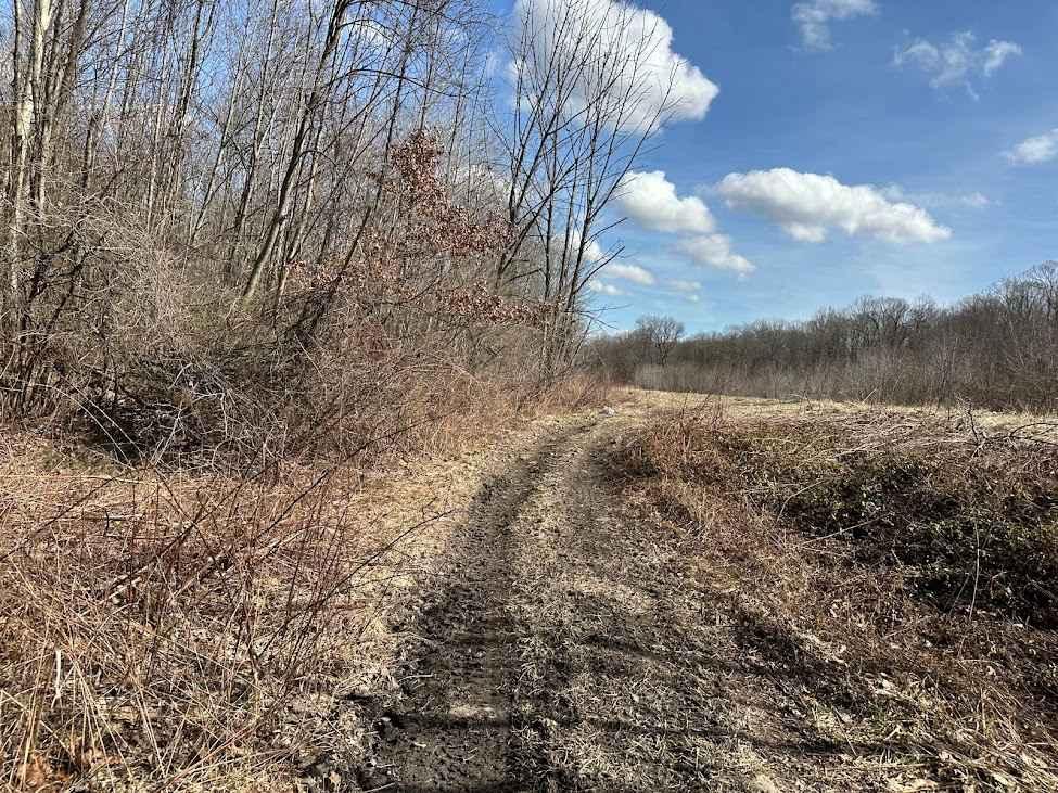 Locust Gap 80