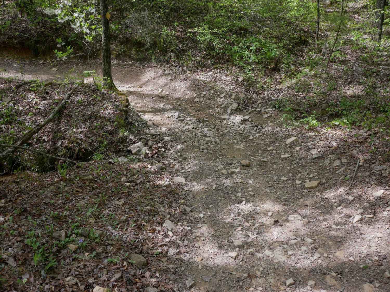Plantation Ridge