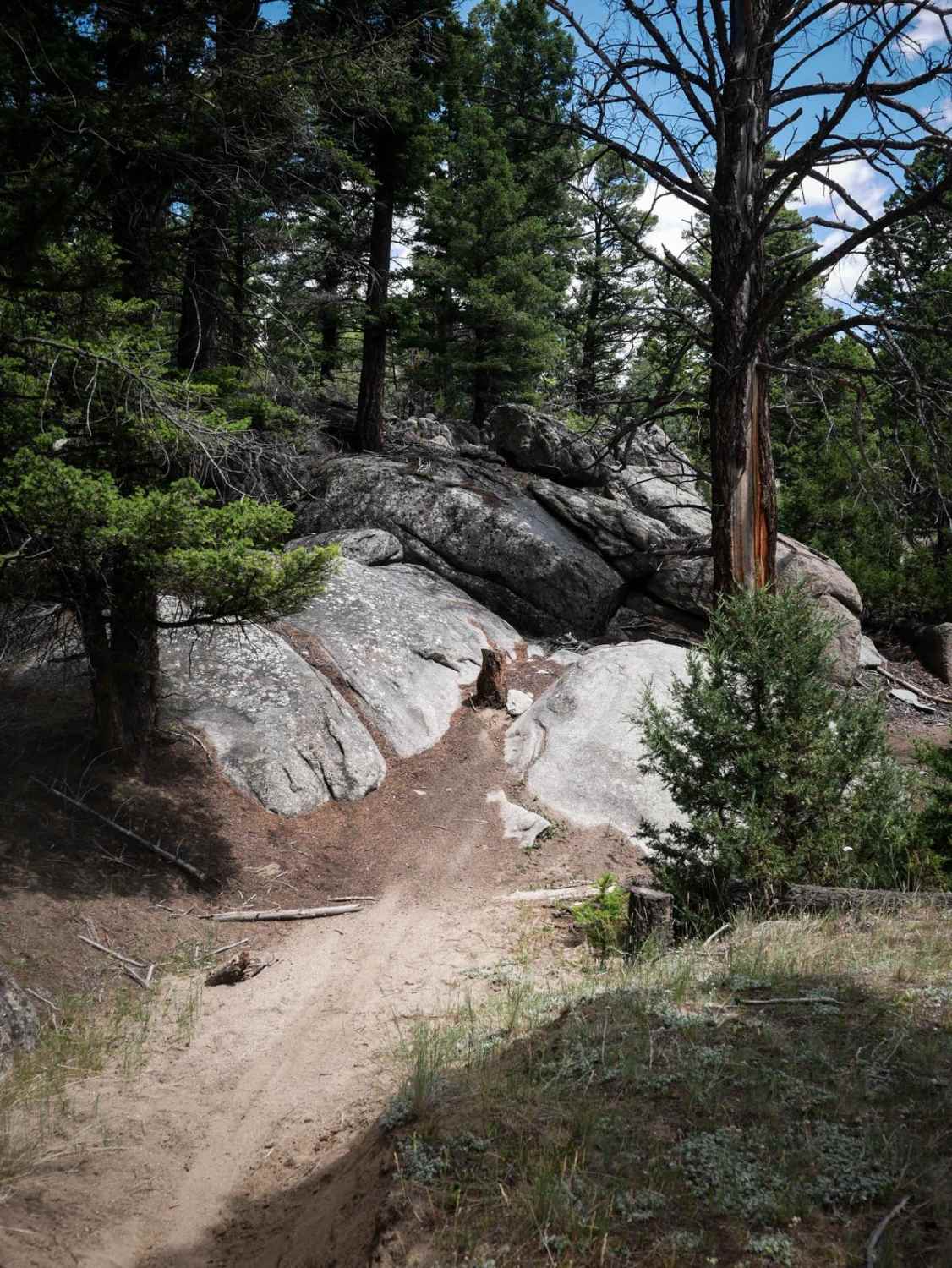 Moto St Downhill