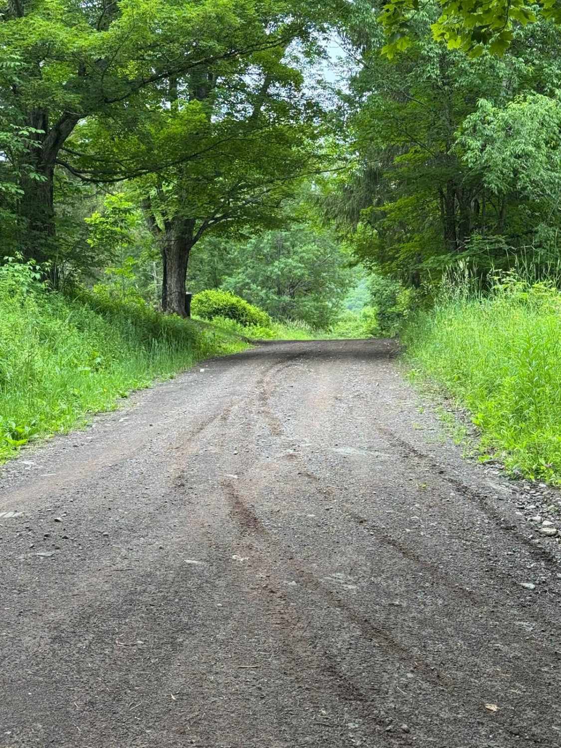 Skunk Hollow Road