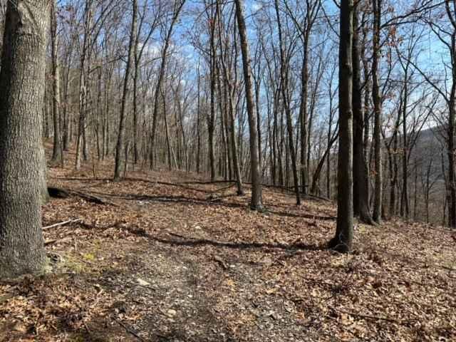Ashland RORR Single Track - D