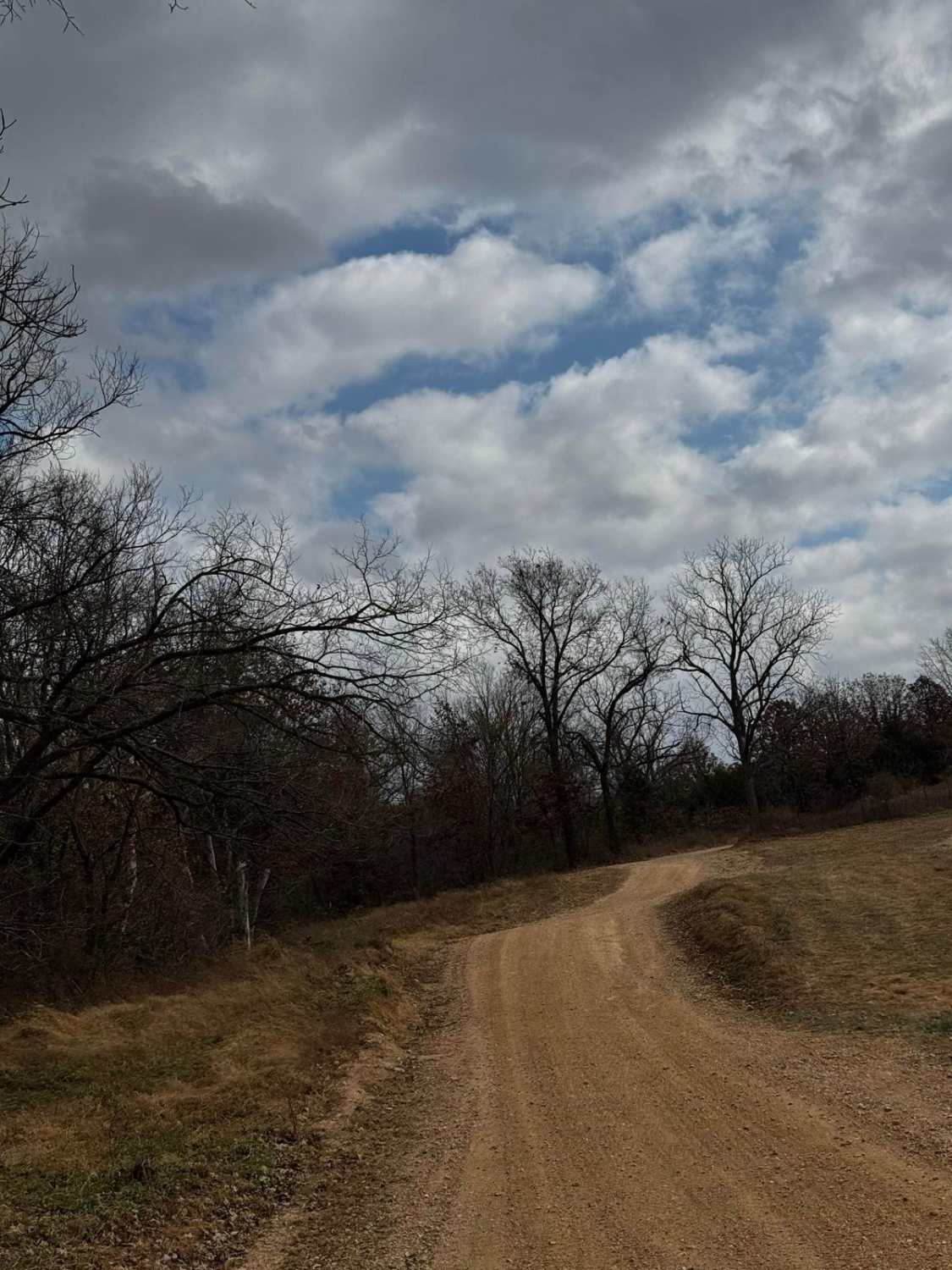 Main Park Entrance Trail