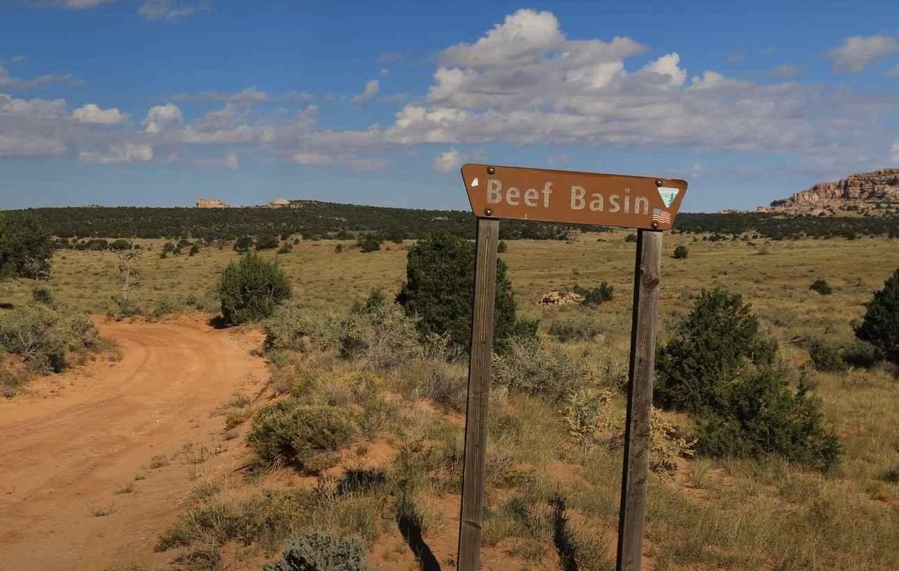 BLM D0148 - Beef Basin Spring Road