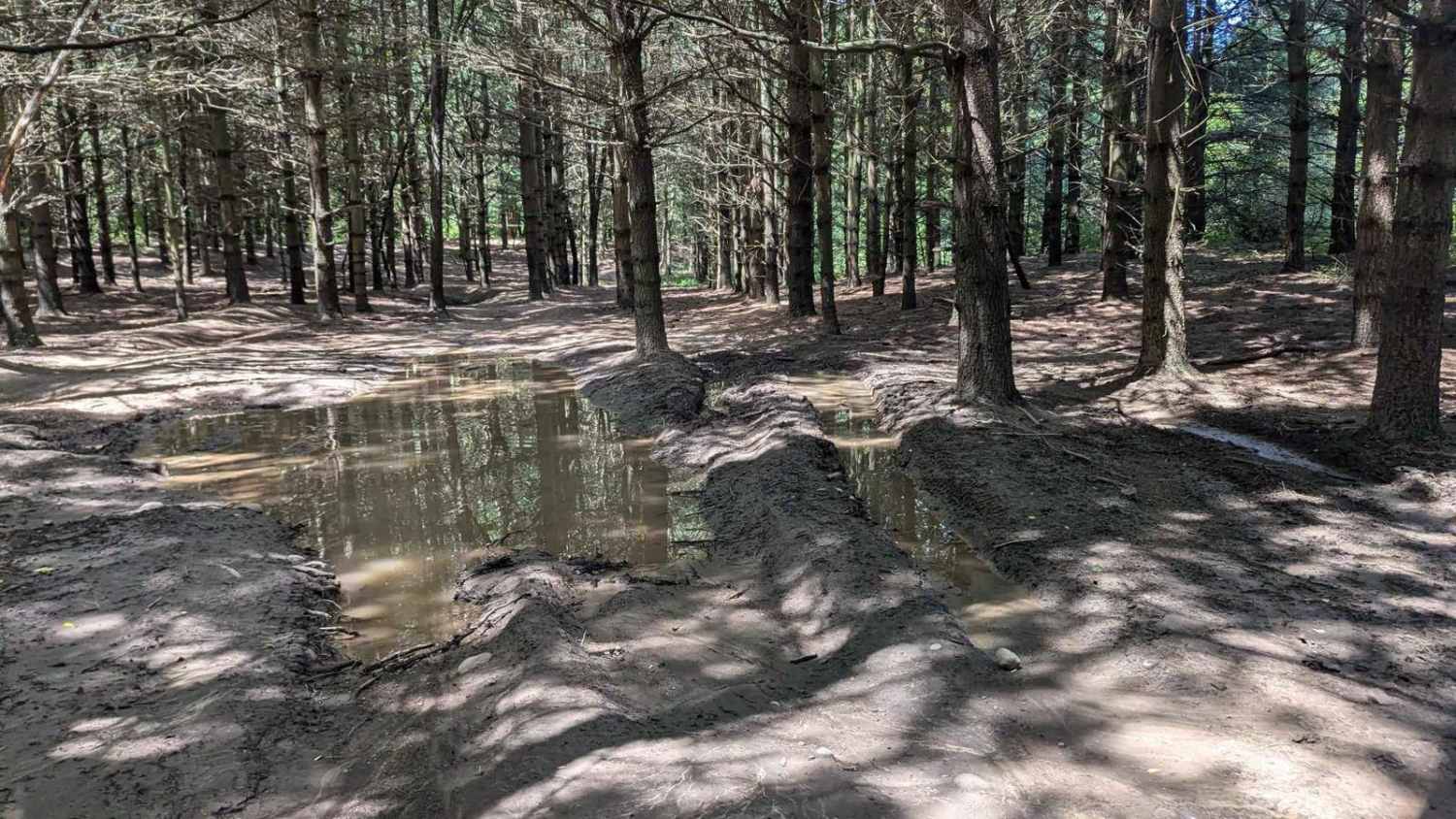 Border Trail Part 2
