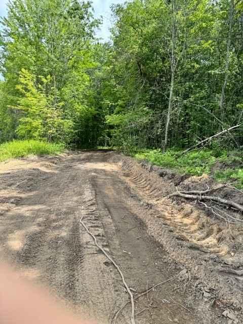 Oak Lake Loop