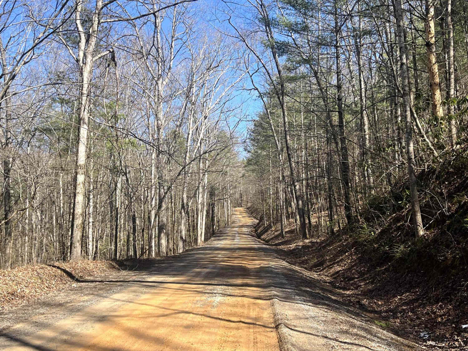 Citico Creek North - FSR 35-1