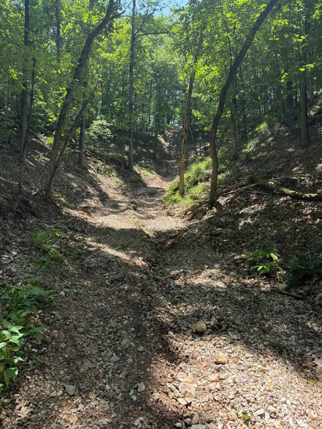 Jenny's Trail