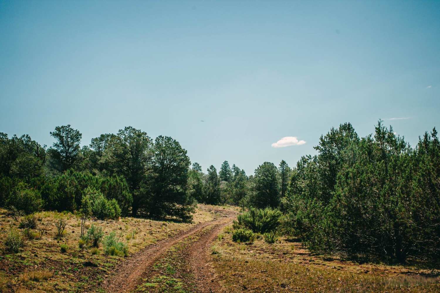 Old 707 Road