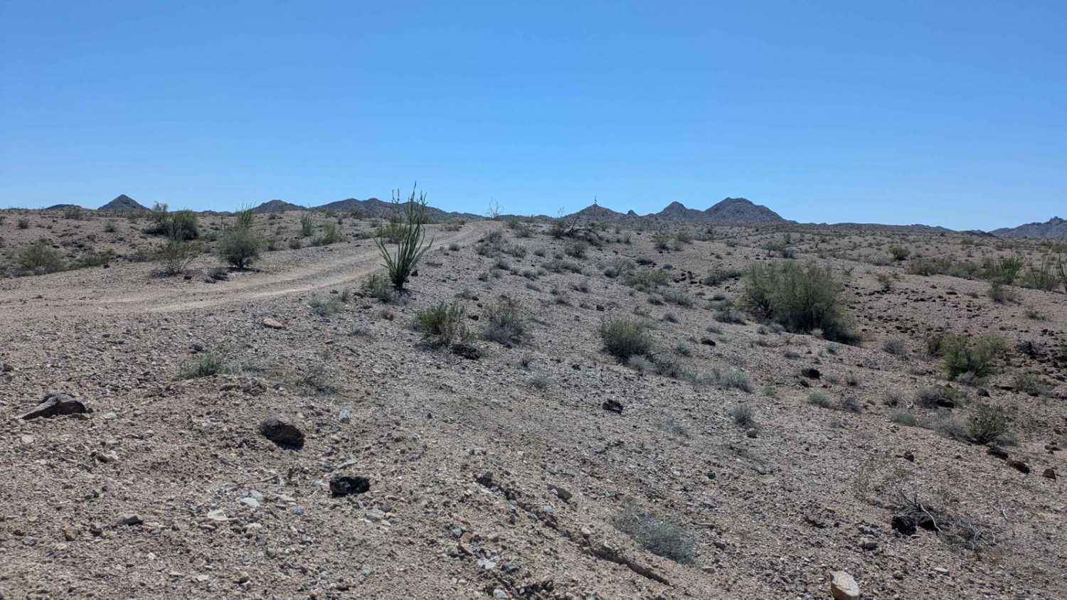 RV Oasis Bypass West