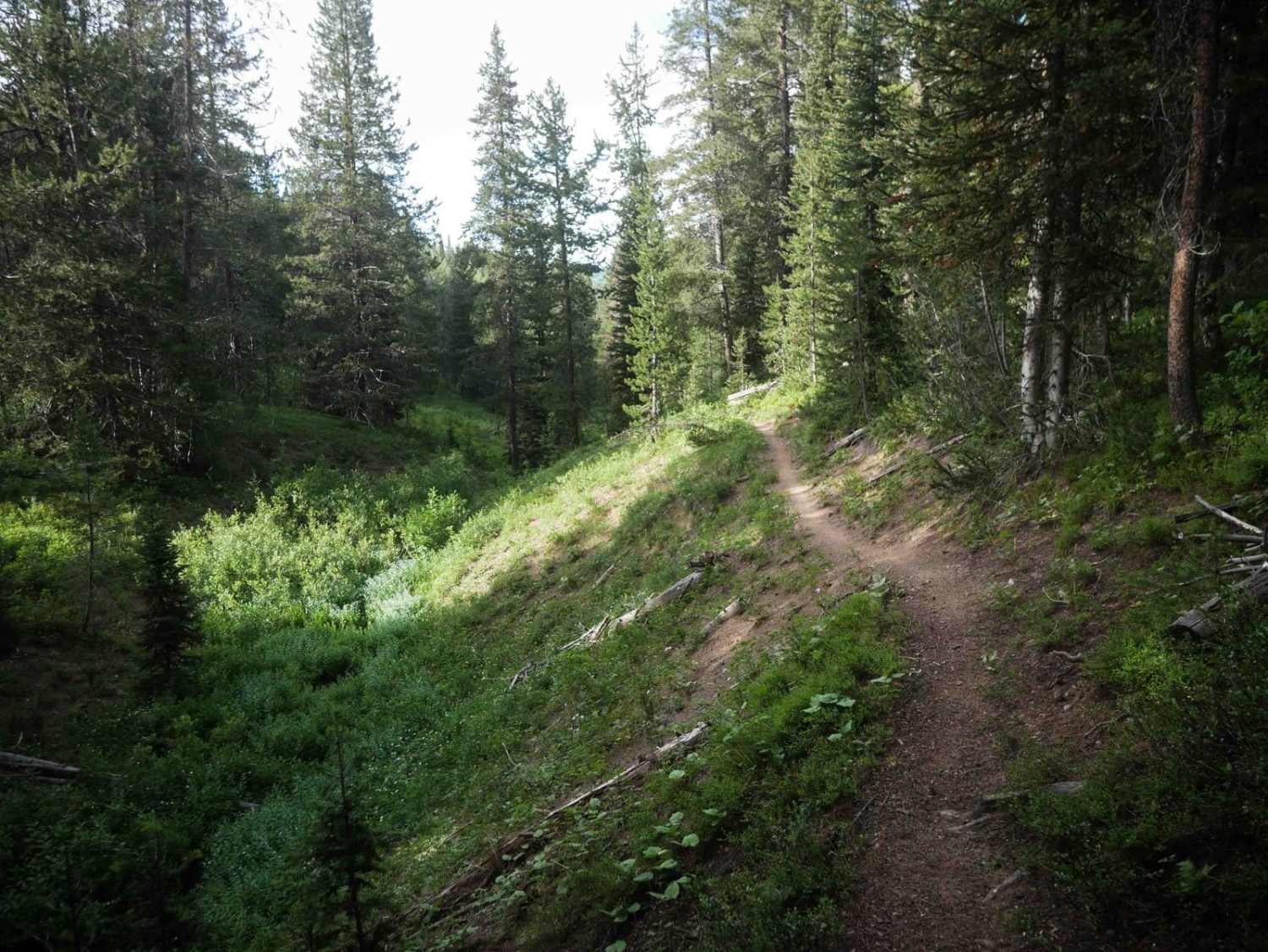 Trappers Cabin #3561A