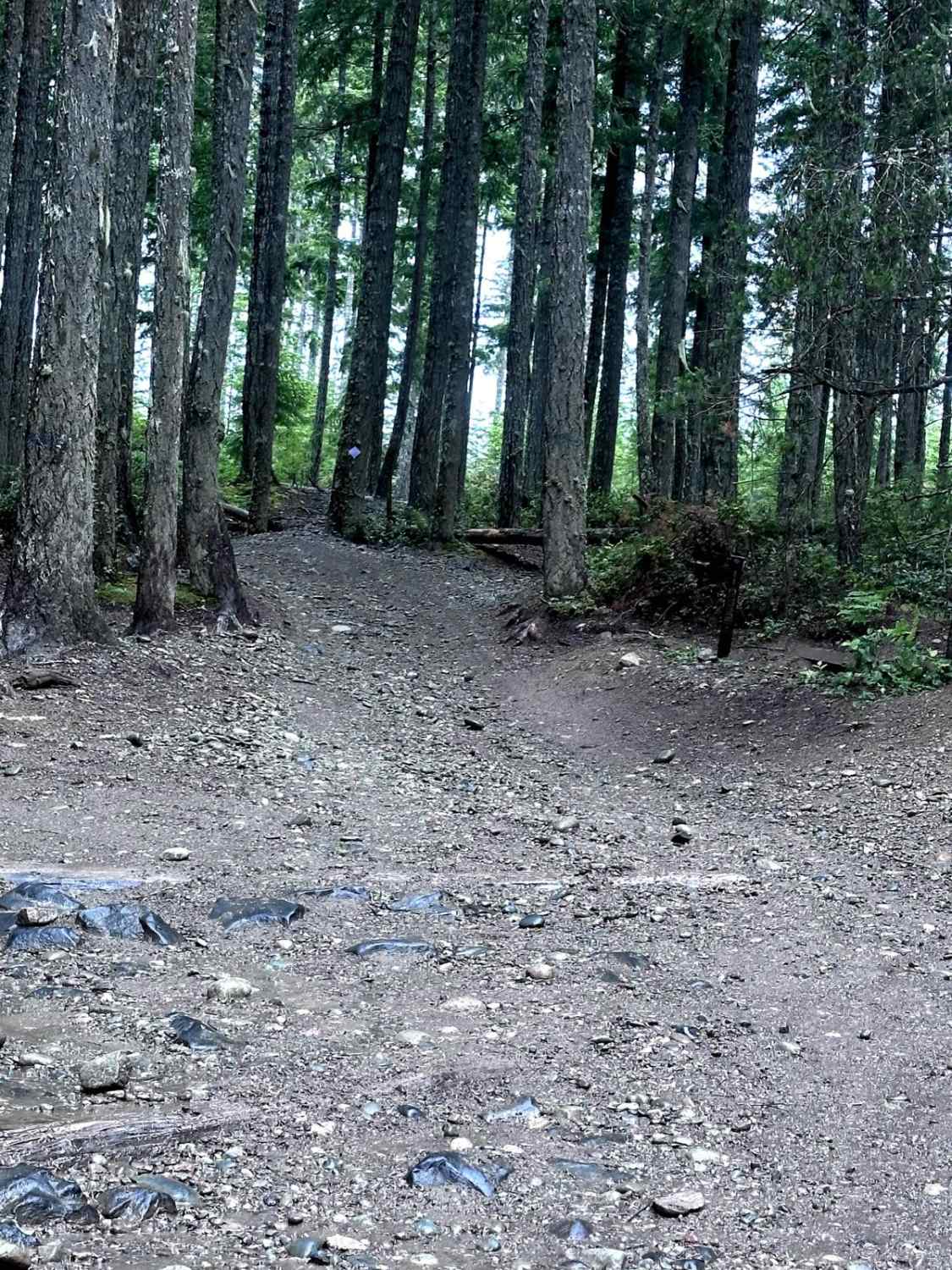 Low Road Trail