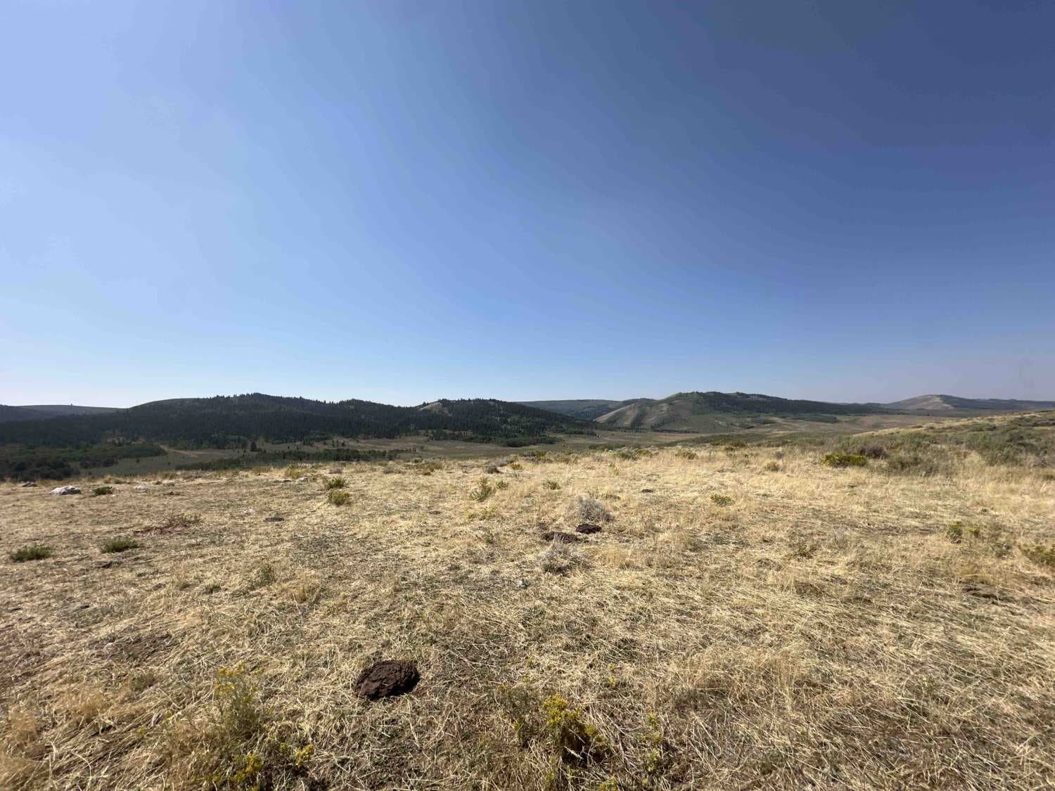 Indian Creek - Cow Camp 