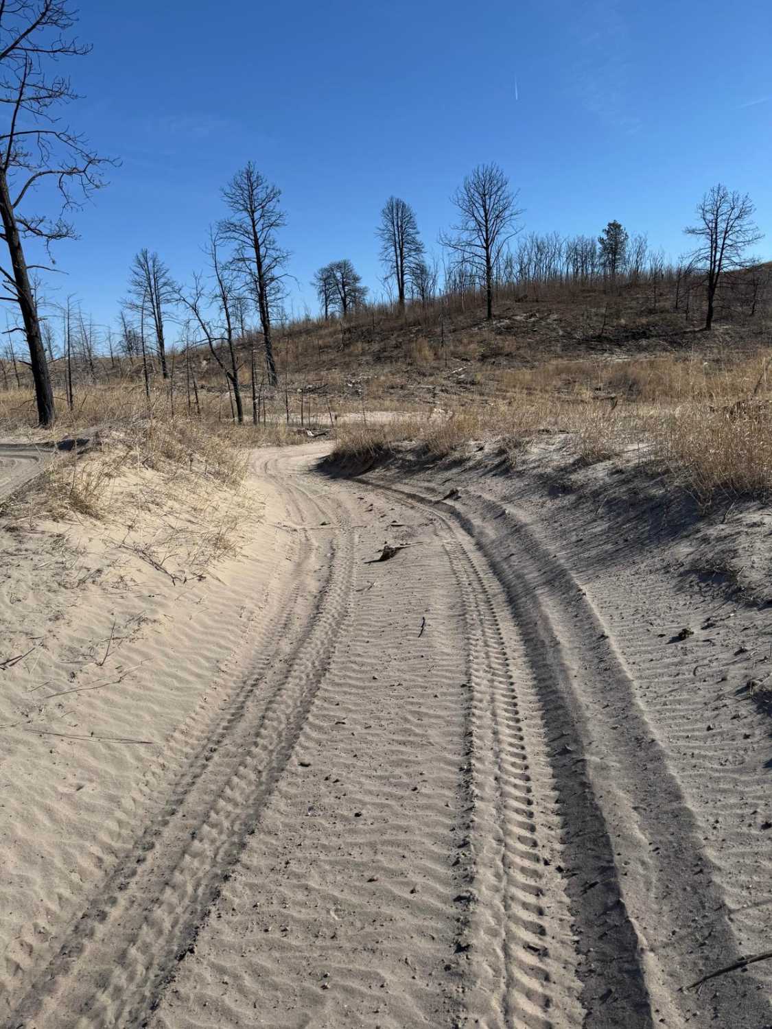 Forest Road 223 - Scenic