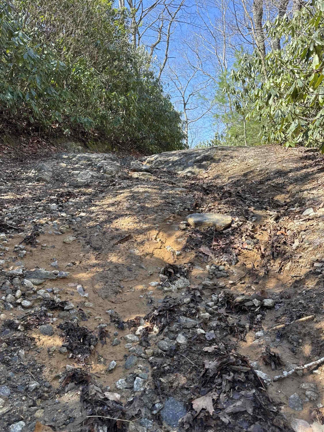 Darnell Creek - FR 150