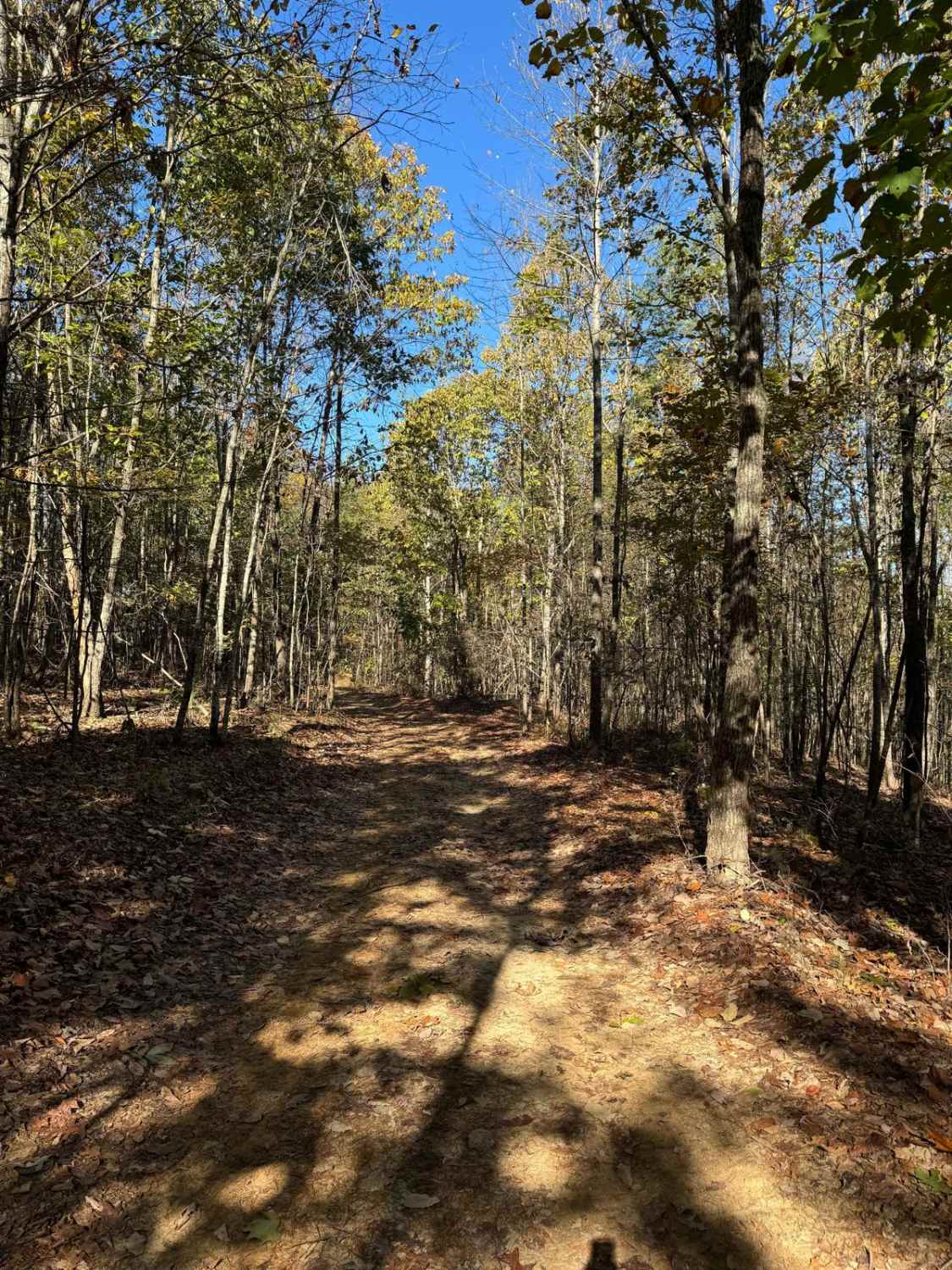Blue Polaris Outfitter Trail