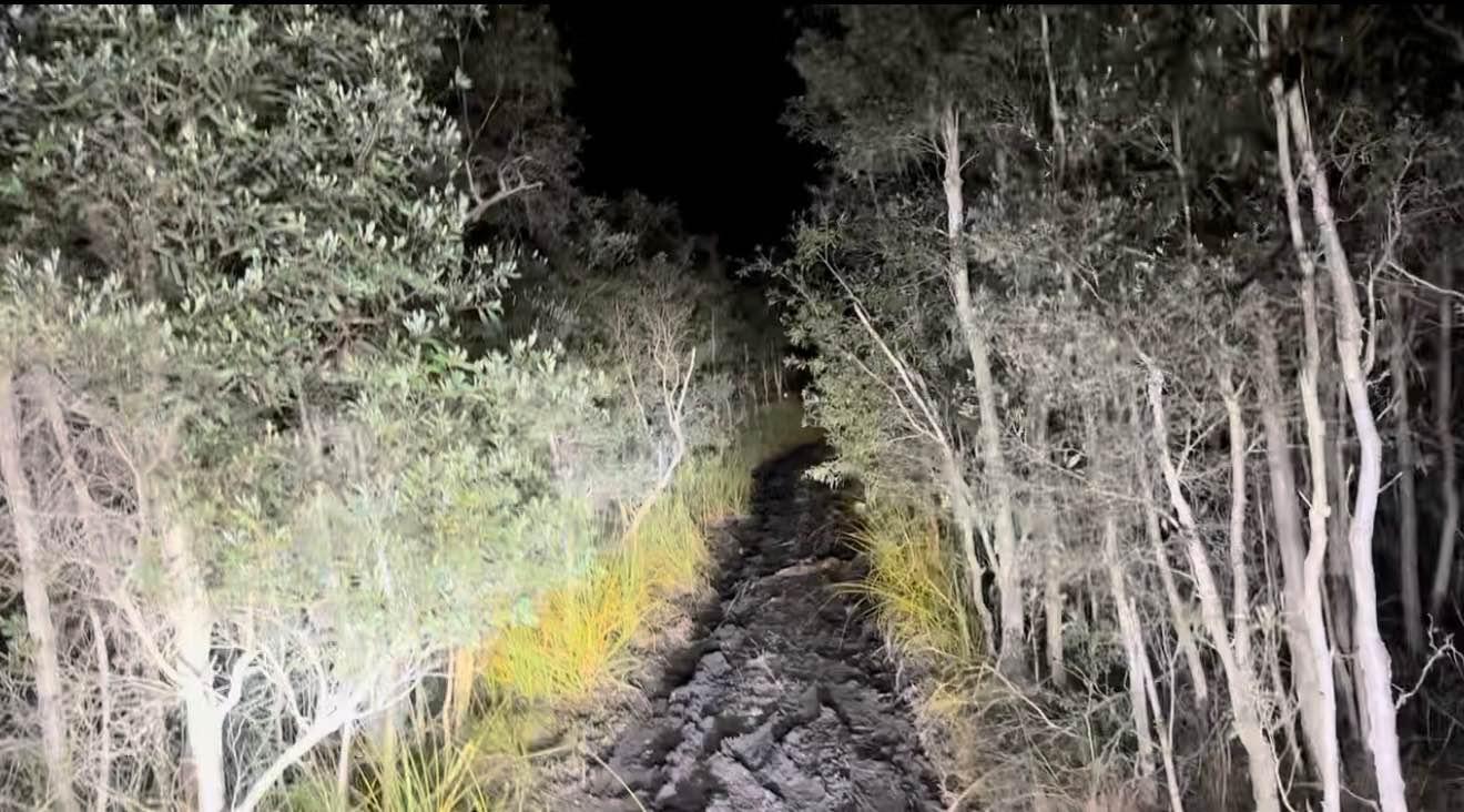 Tamiami Trails