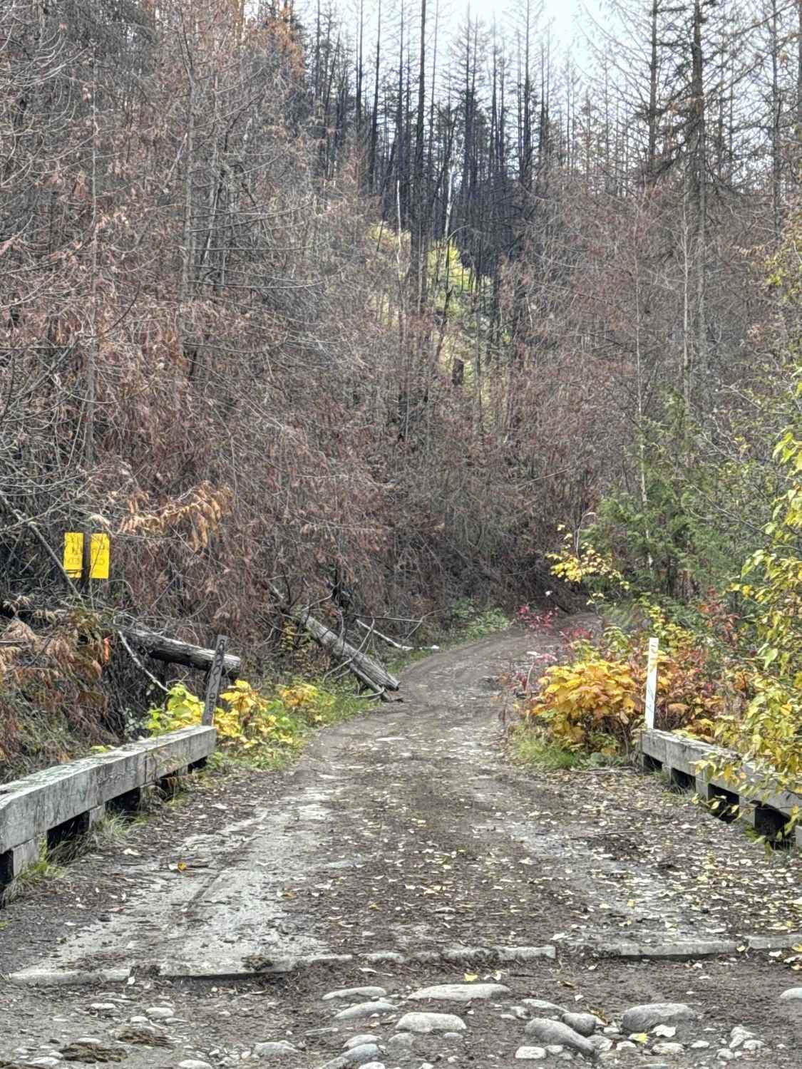 Mount Swite Road