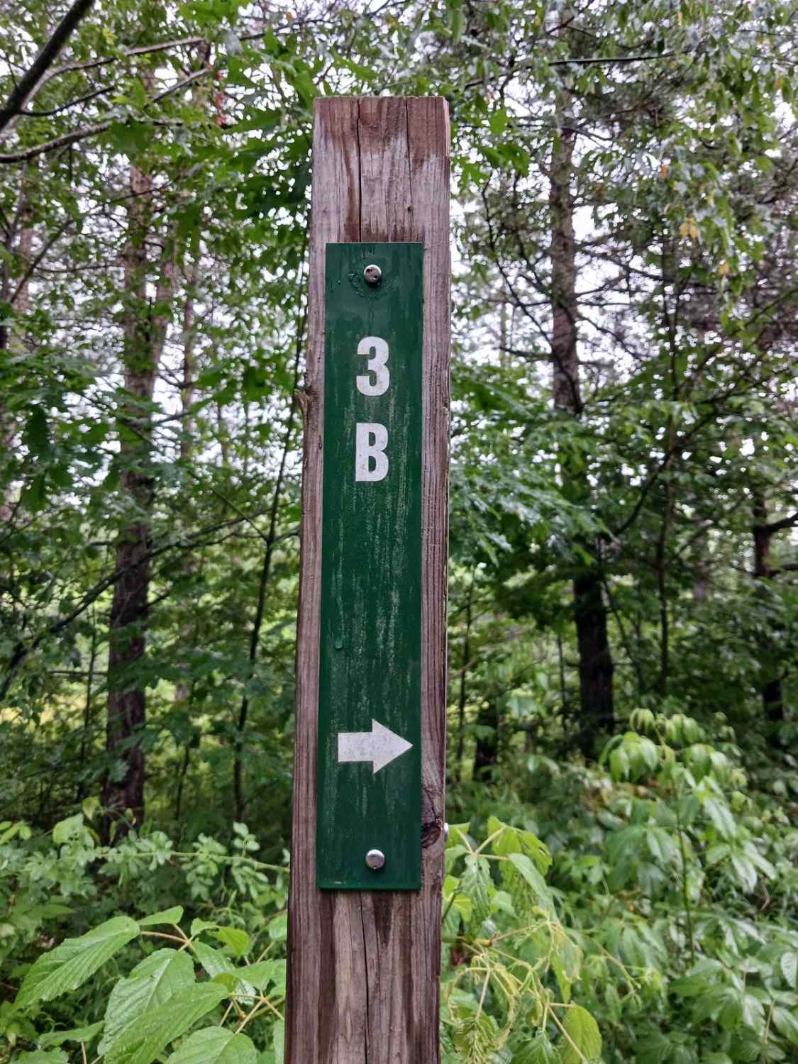 Trail 3B - Rock Run Recreation Area