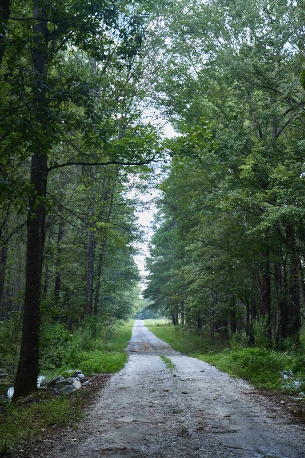 Turkey Road - Shooting Range Access