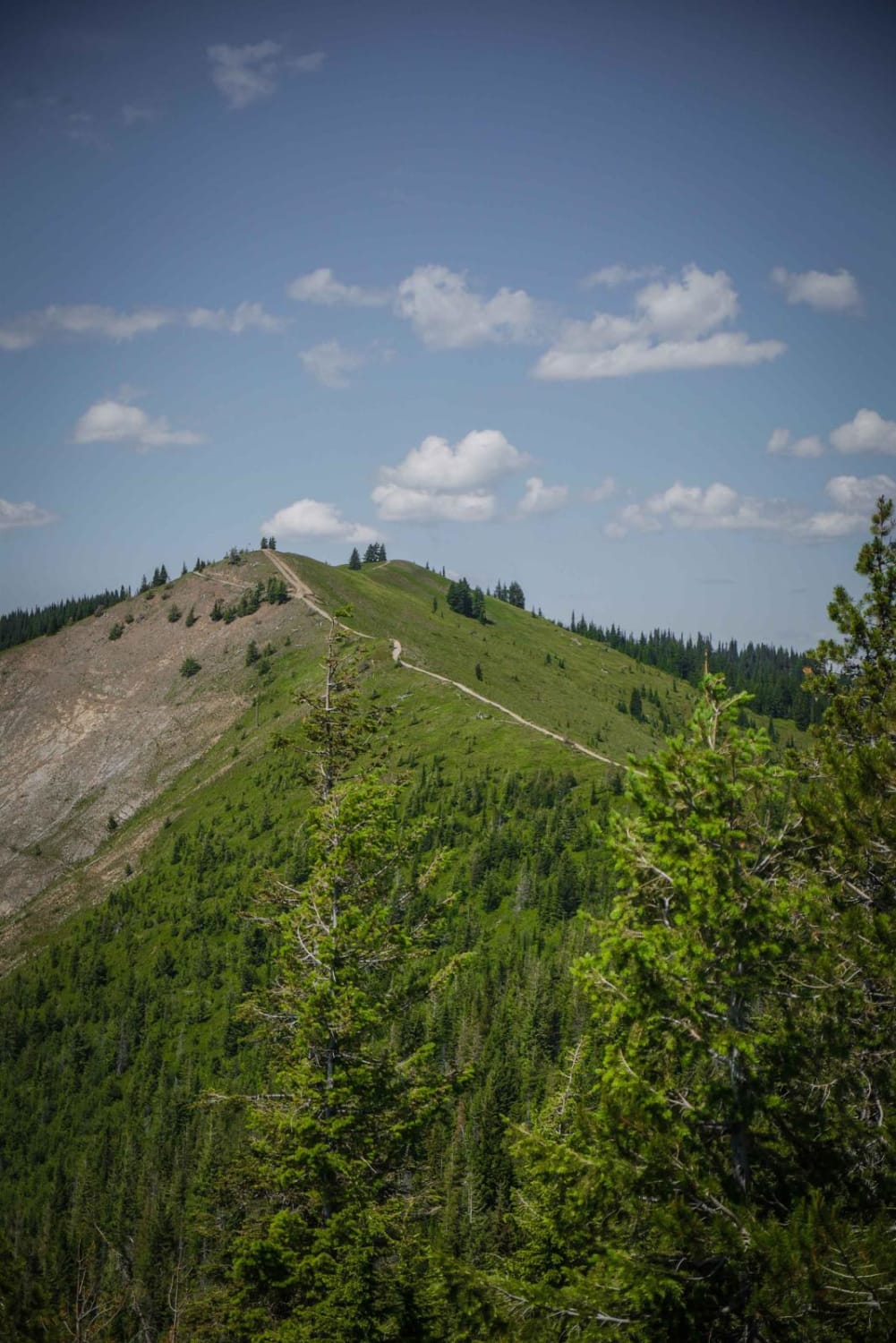 Dam Creek Divide ATV 