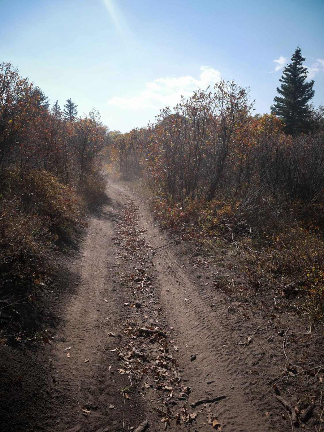 Spring Creek ATV Trail (East)