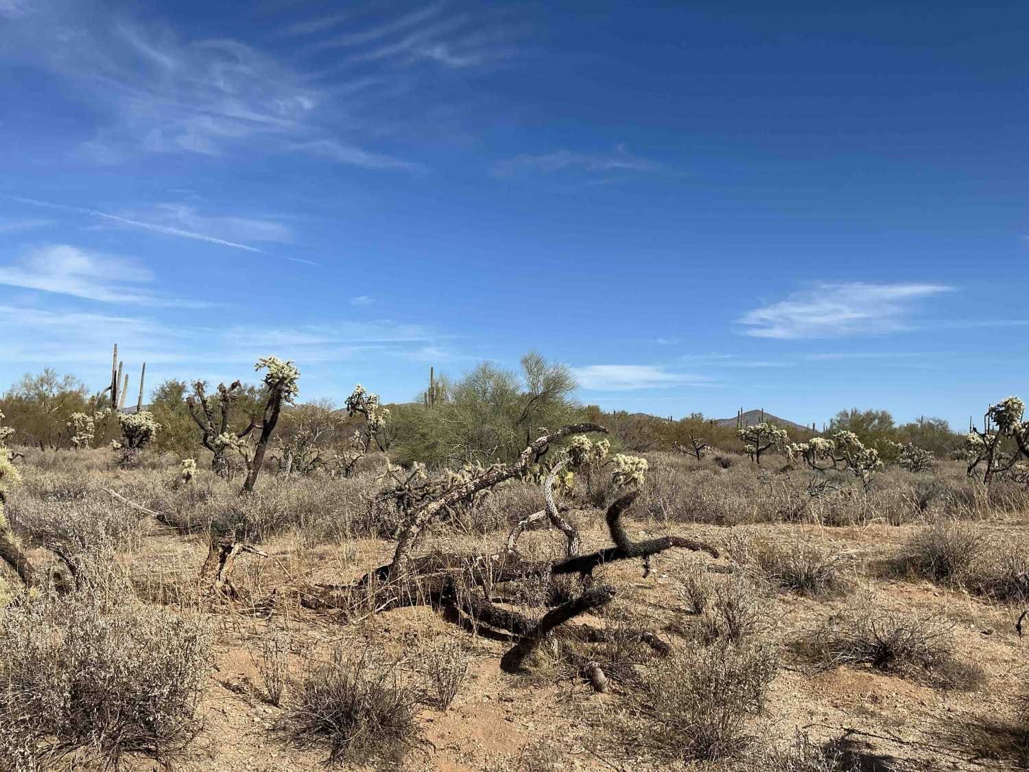 Freeman Pipeline Trail