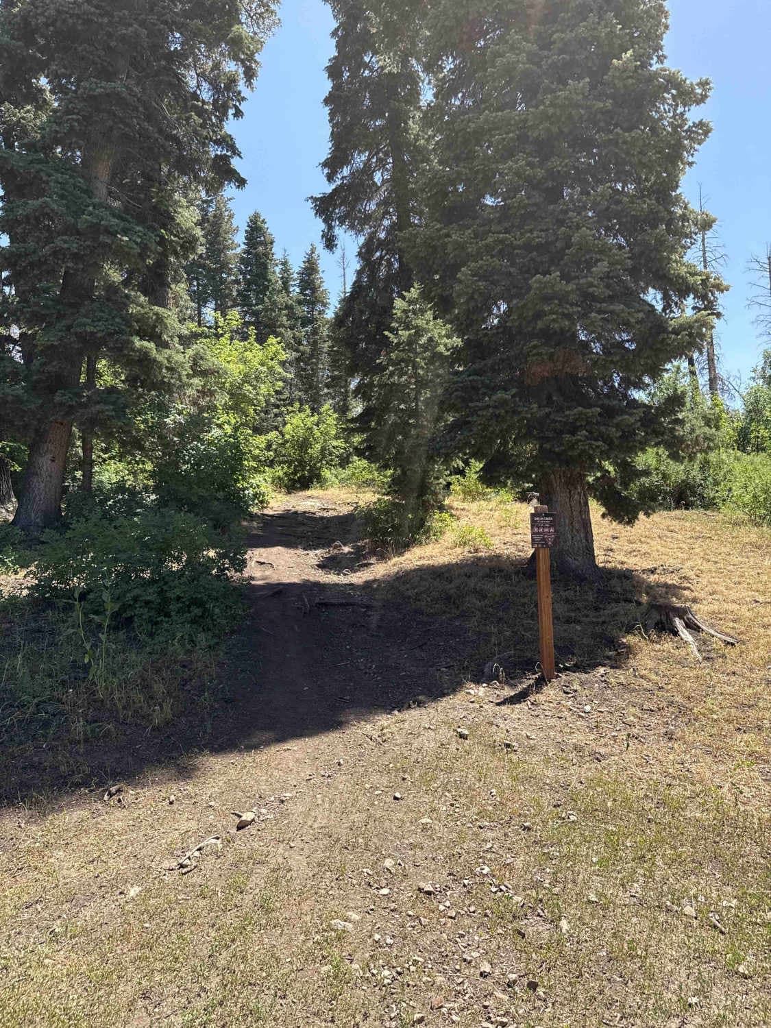 Shram Creek - FS 8124