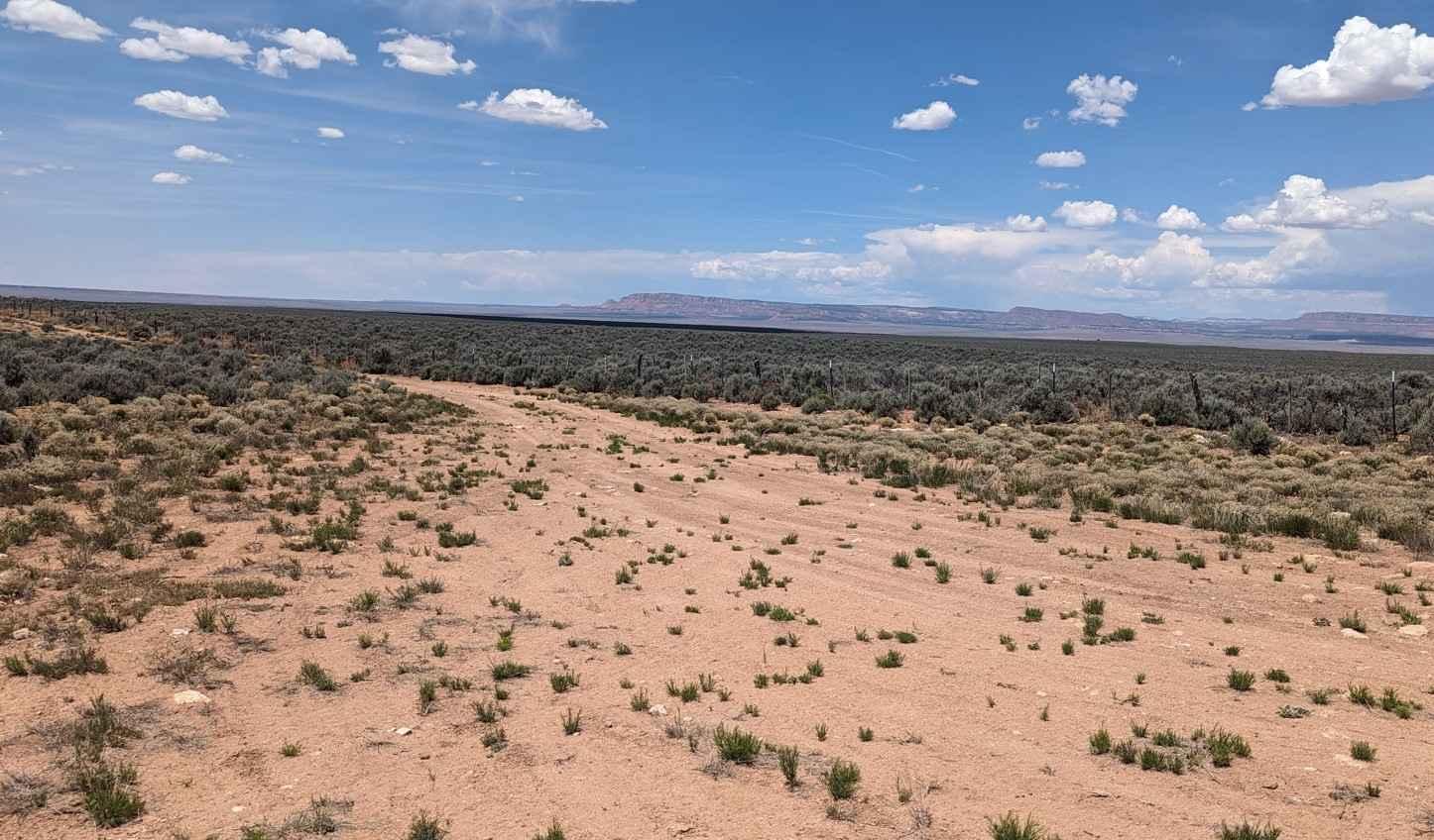 Gunsight Canyon Overlook -BLM179-180