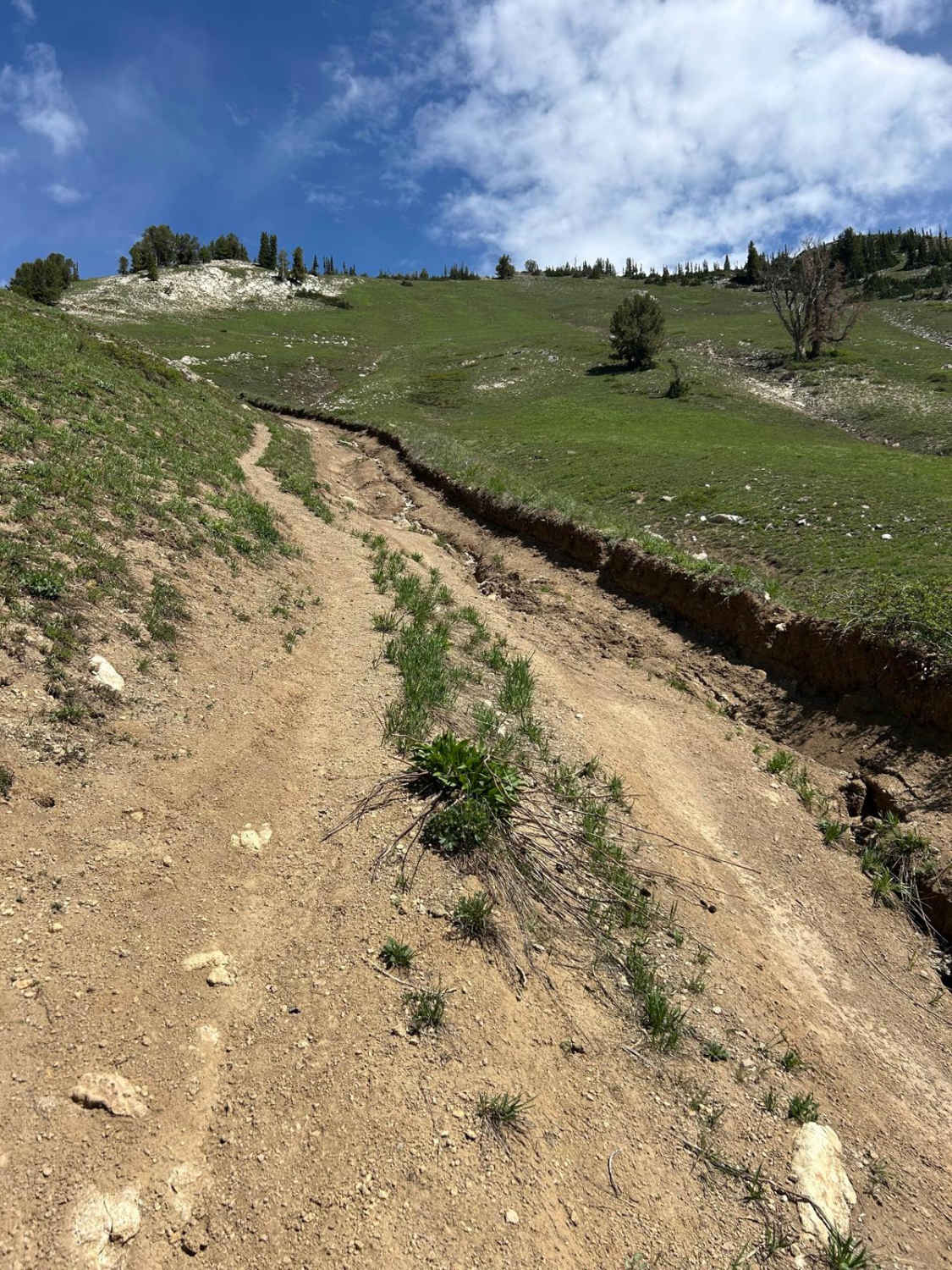 Mill Flat Gulch
