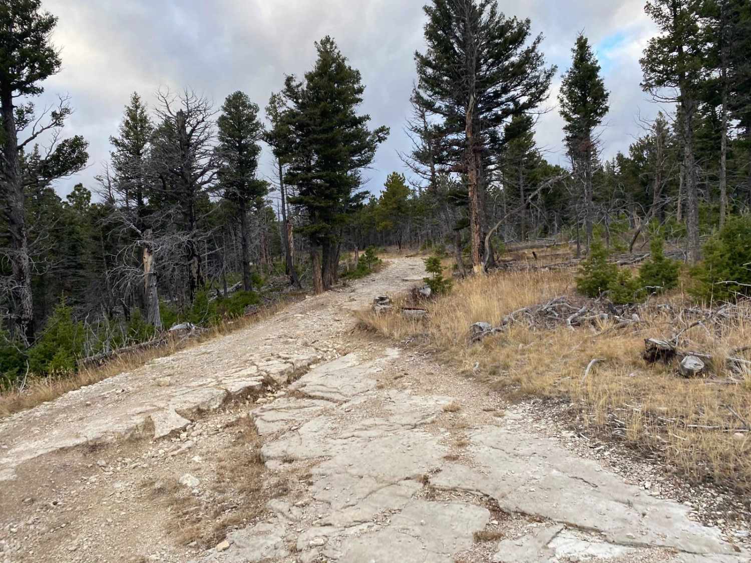 Mount High Peak