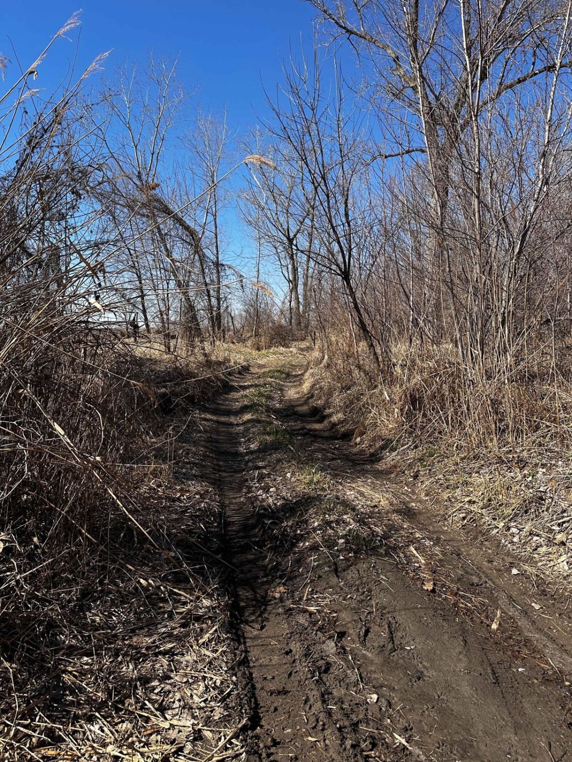 Riverside Dirt Trail (Part 2) - 735A Road