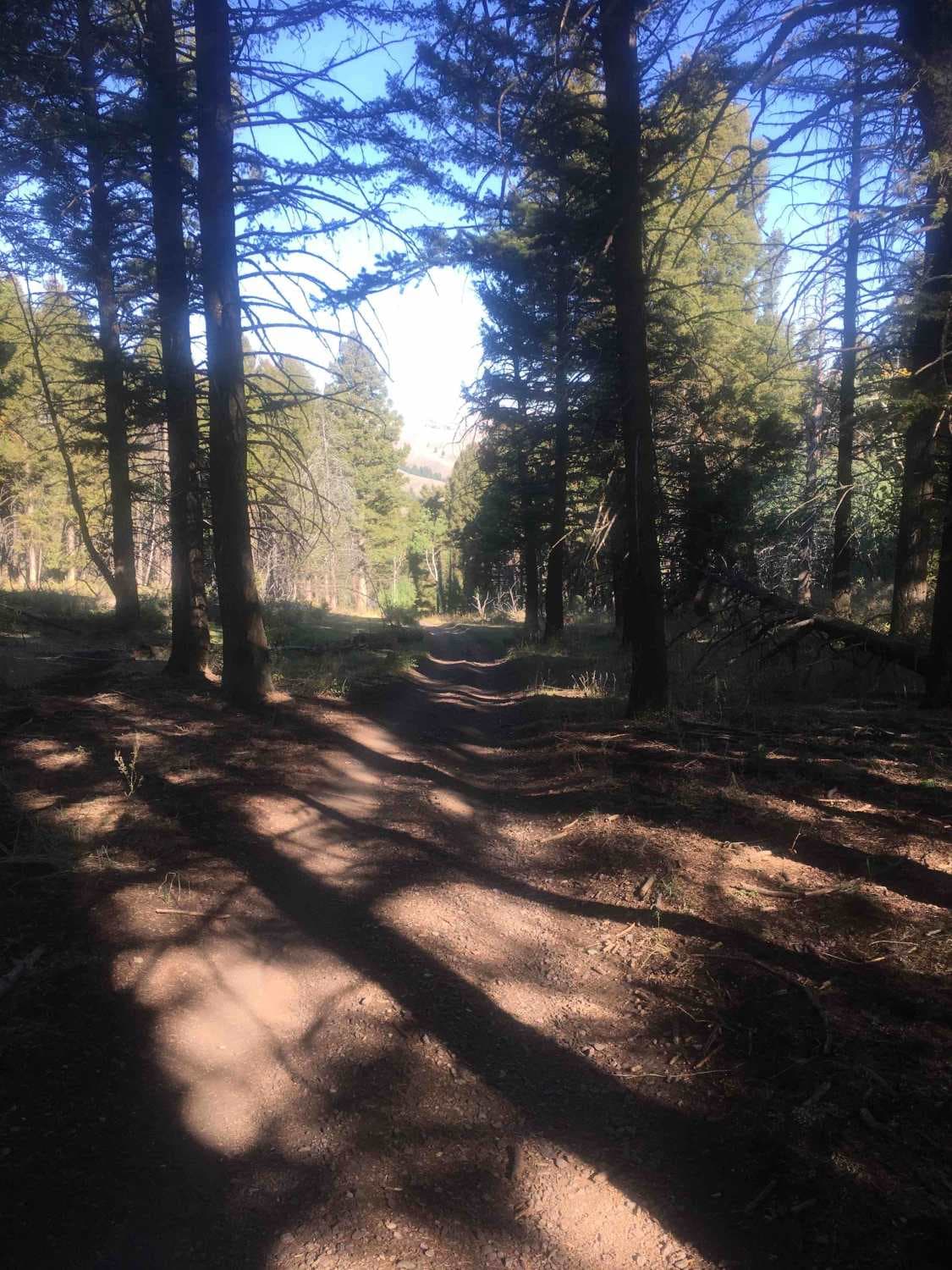 Stoddard Creek Ridge Trail