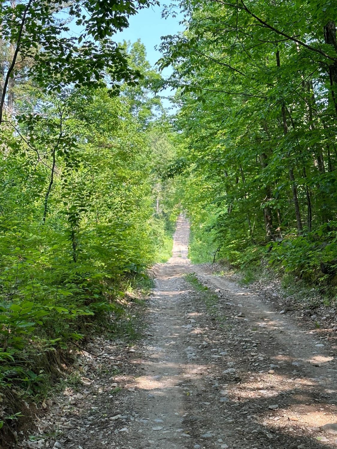Trail 48468