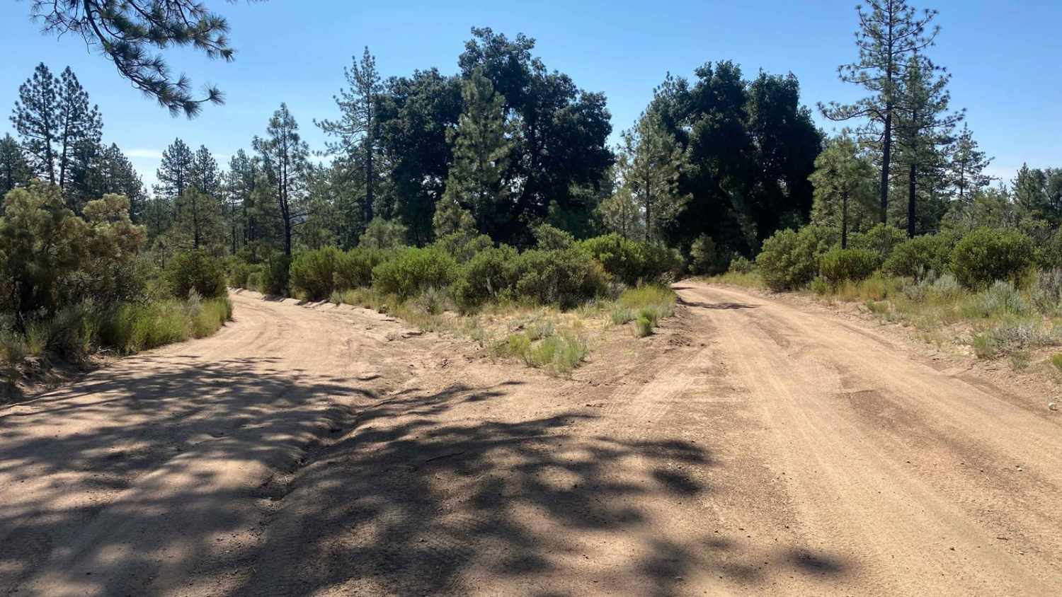 Pine Forest Trail to Laguna Hanson Cerro San Pedro
