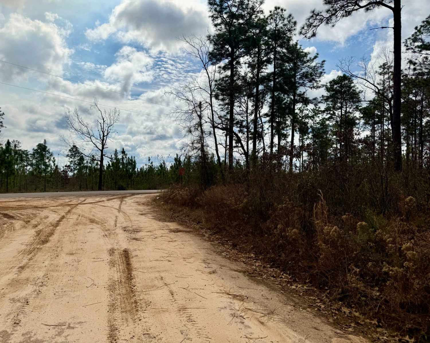 Burned Out Bridge Road 