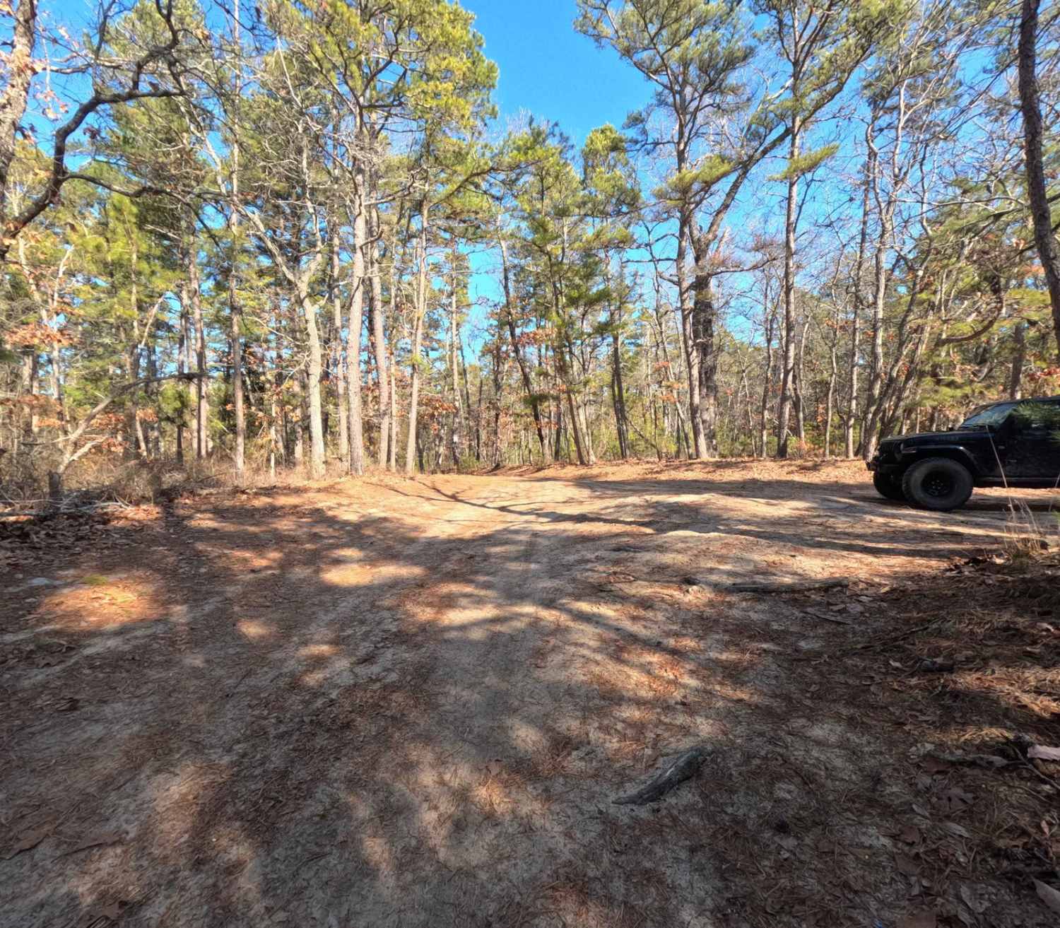 Lower Forge Road