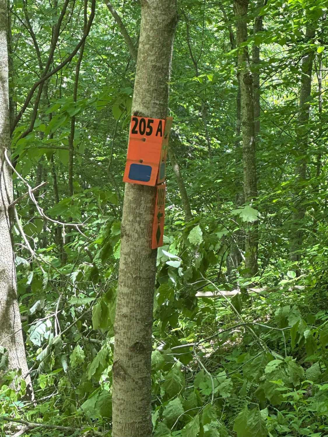 205A