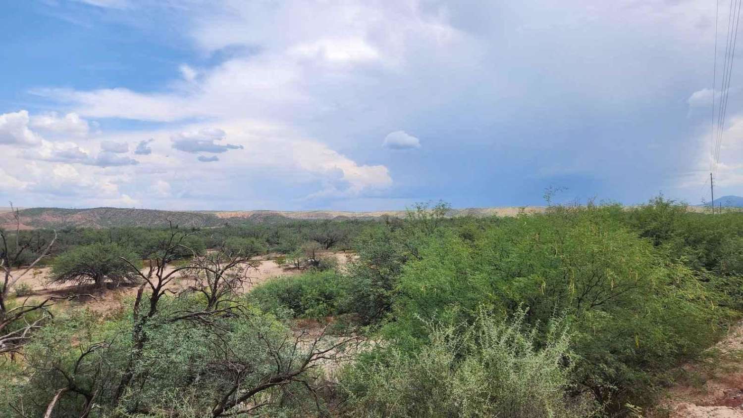 North San Perdo River Road