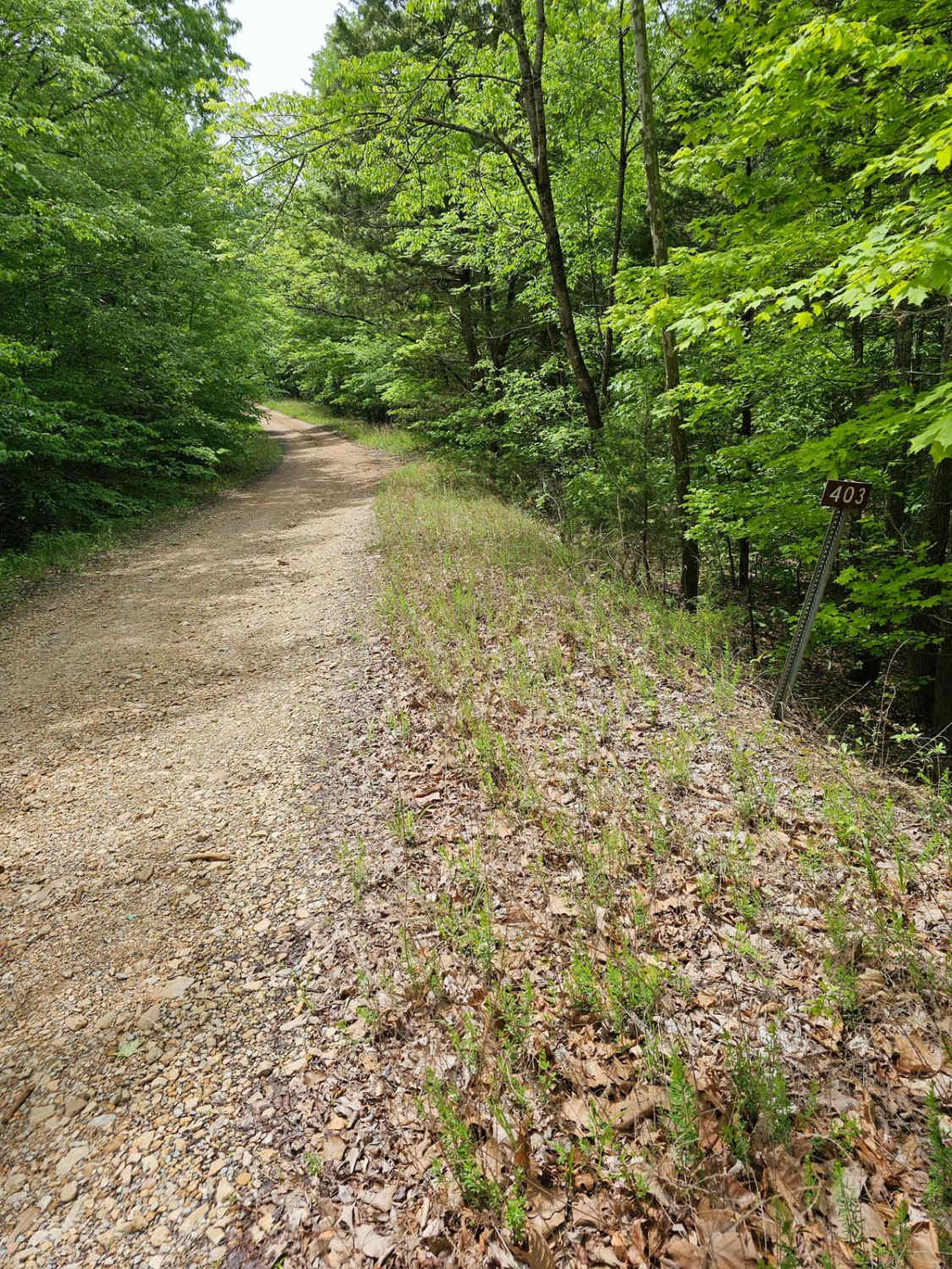 Forest Service Road 403