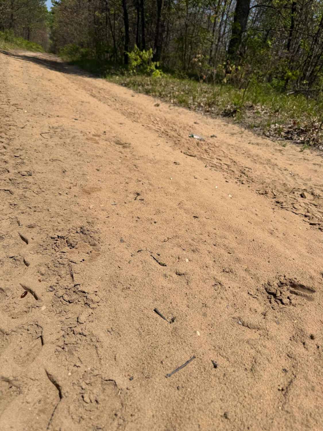 MCCCT Connector Trail