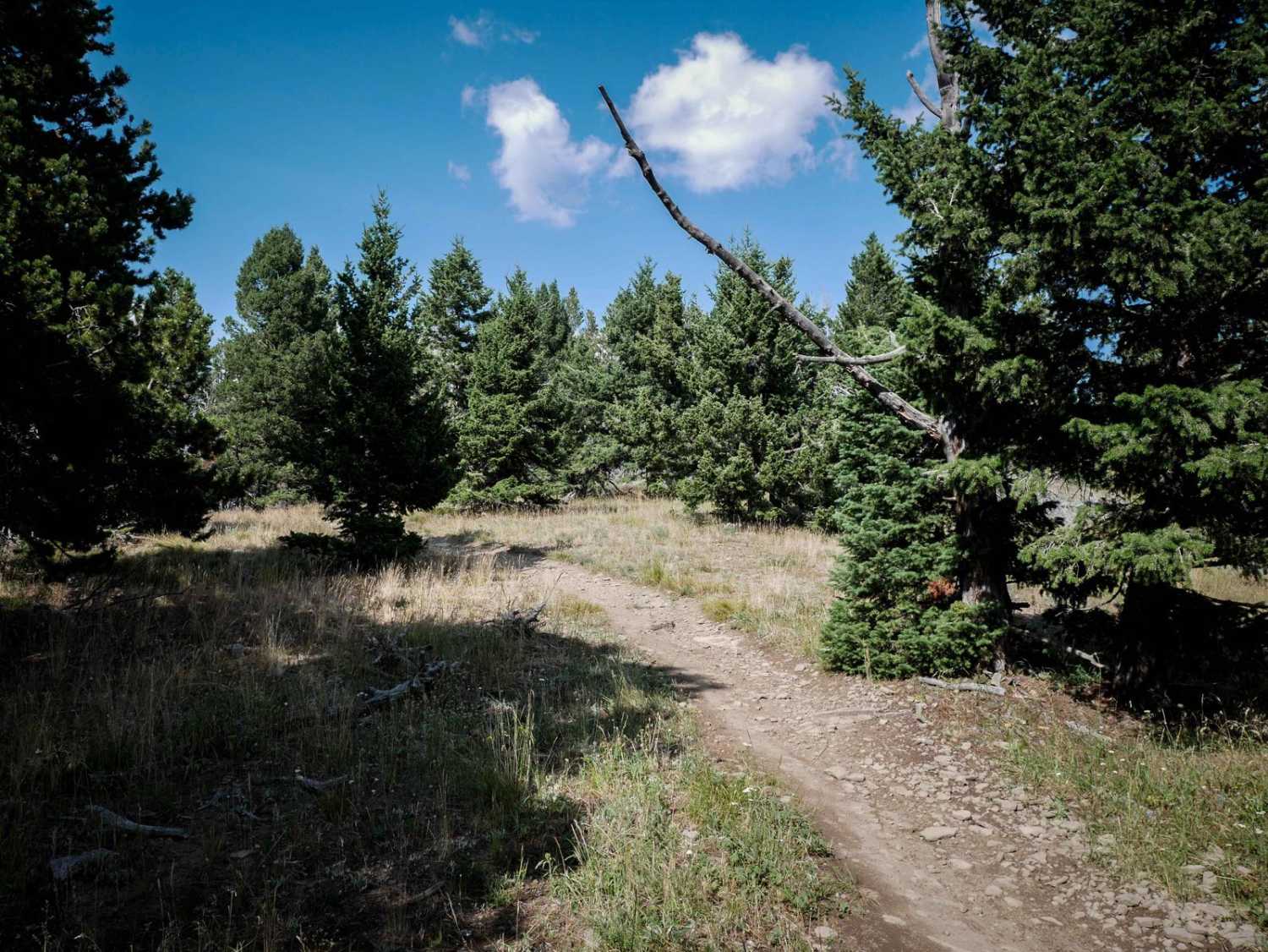 Bangtail Divide 