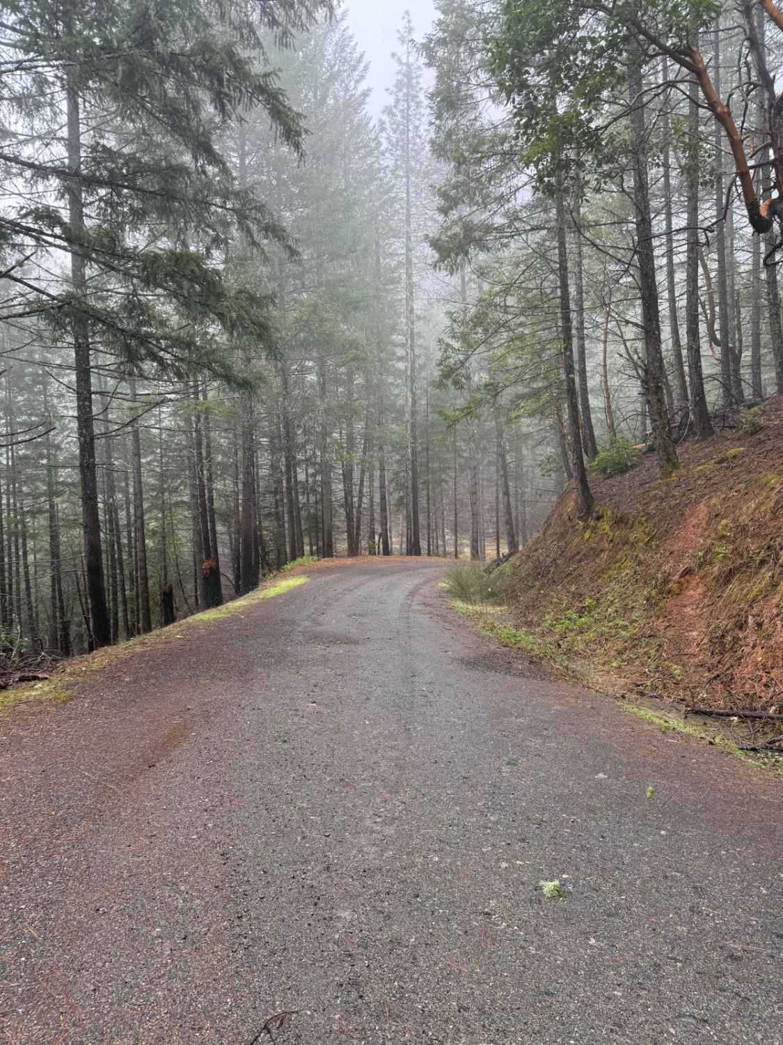 Taylor Ridge Road