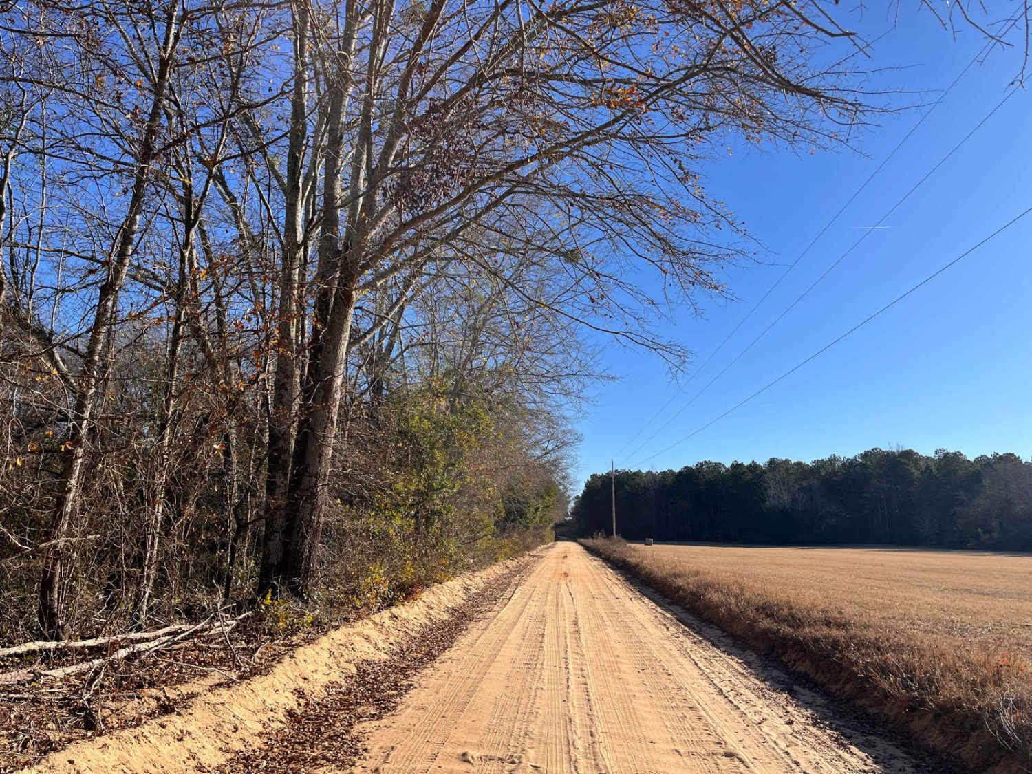 Red Shadow Road