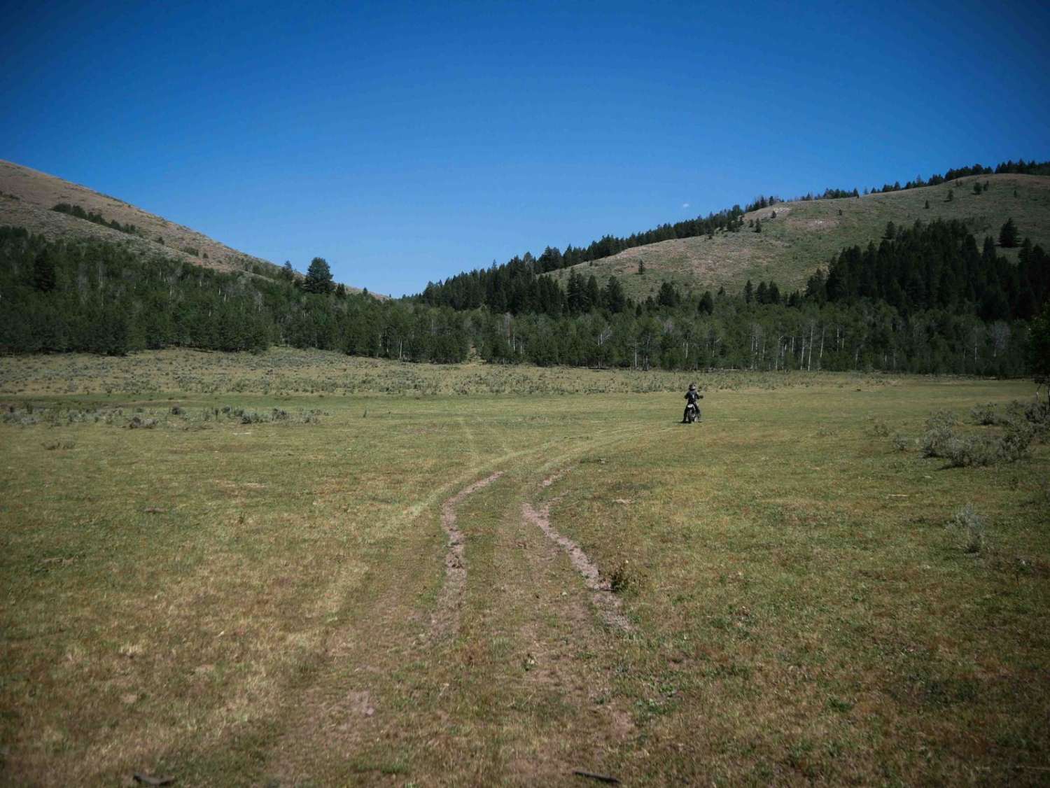 Petterson Canyon #5232