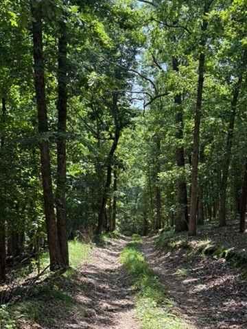 Alli's Trail