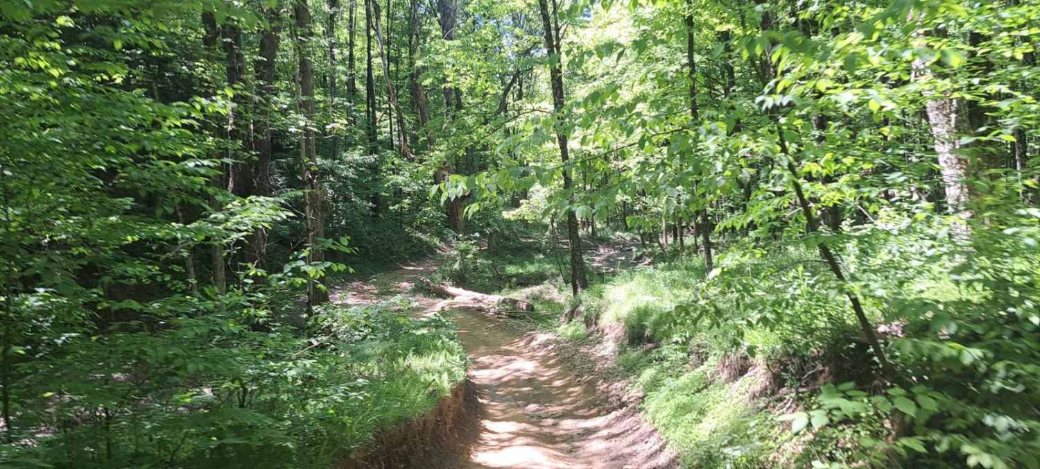 Pat's Path