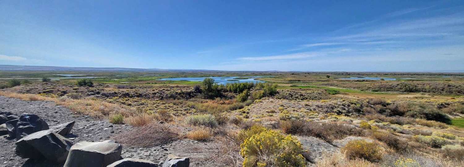 Sand Dunes Site
