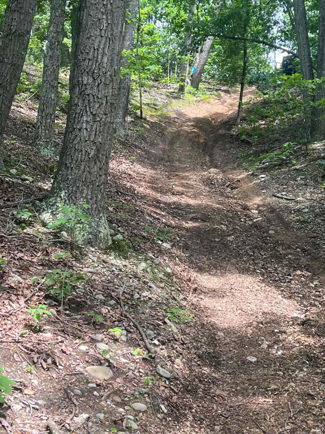 Turkey Bay OVH 5203 and 5208