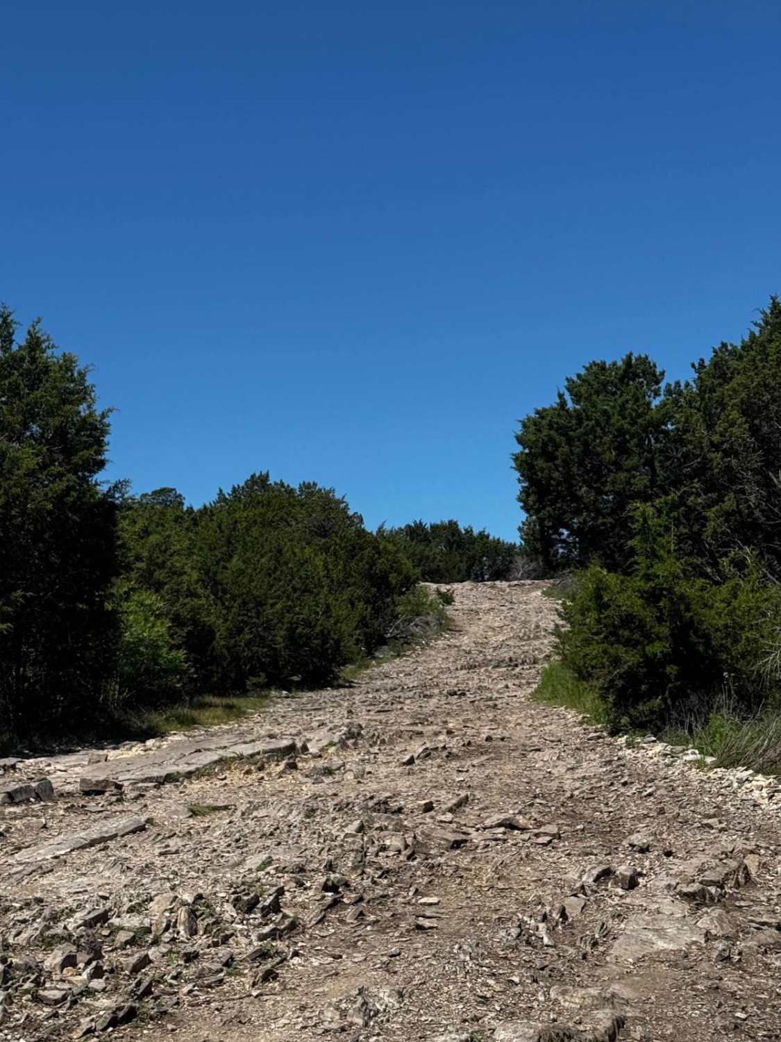 Riley's Ridge